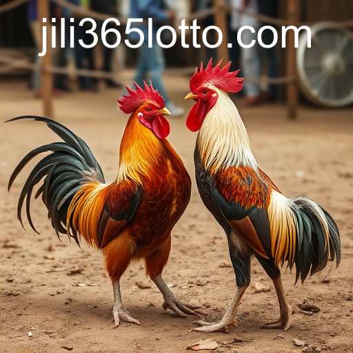 jili365